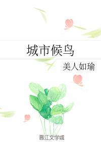 城市候鸟评价