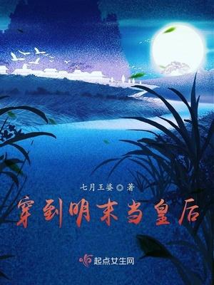 穿到明末当皇后全文阅读