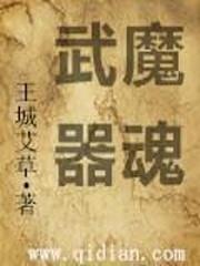 武魔器魂epub
