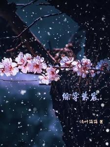 综穿之辰音