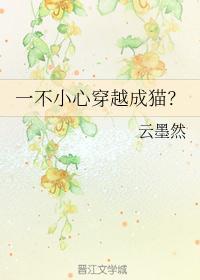 一不小心穿越成猫电视剧