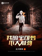 我的宝可梦不大对劲百度百科