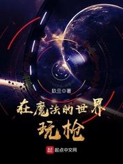 在魔法的世界玩枪txt