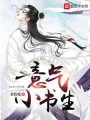 意气小书生和逍遥小书生
