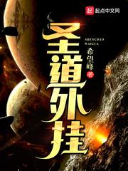 圣道网络科技