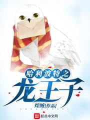 哈利波特之龙王子免费阅读