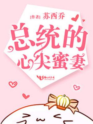 总统的心尖蜜妻盘
