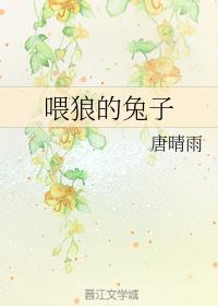 狼先生的兔子情人