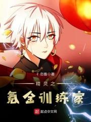 精灵之氪金训练家txt免费