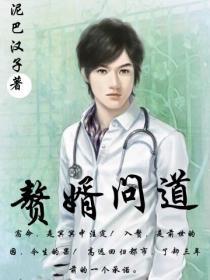 赘婿问道高远林暮云 txt