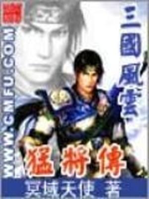 三国风云之猛将传txt