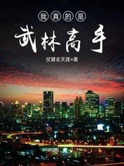 从武林高手到全民偶像txt