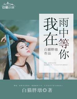 贺小姐复婚吧全文免费阅读