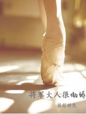我的傲娇将军太子妃