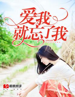 佣兵奶爸闯都市张南