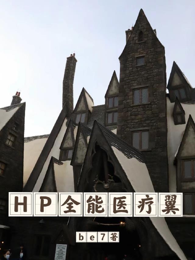 hp全能医疗翼txt