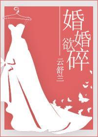 婚婚欲碎前夫别来无恙免费