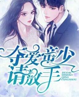 老公诱妻成瘾哪一章圆房