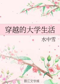 我和我的大学生活