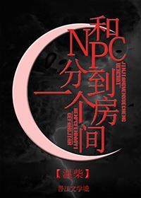 npc关系好吗
