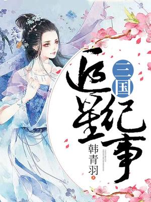 三国追星纪事讲的是什么