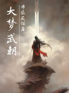 大梦综武全文阅读