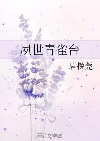 夙世青雀台五毒匣子