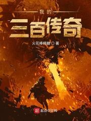 我的三百传奇txt