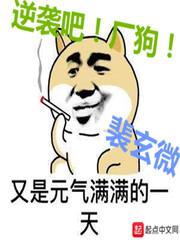 逆袭吧厂狗起点