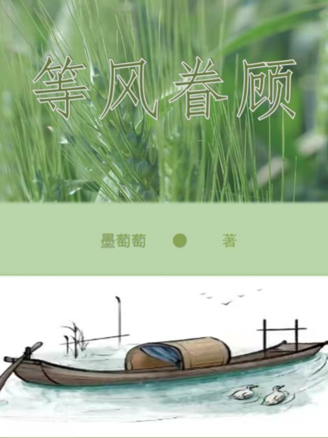 等风等你的意思