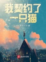 我契约了一只猫女主角有几位