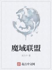 魔域有几个联盟