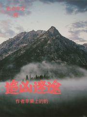 迷途追凶演员表