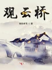 凤翔洲景观云桥