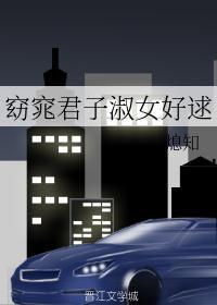窈窕君子淑女好逑晋江