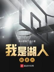 我是湖人新老大顶点
