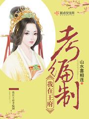 我在王府考编制txt