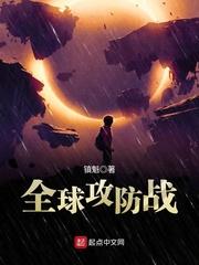 全球攻防战txt