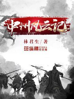 中州风云记好看吗