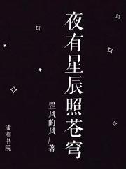 夜星辰是什么意思