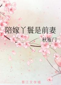 红楼之陪嫁丫鬟