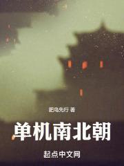 单机南北朝完整版免费听书