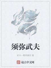须弥武器