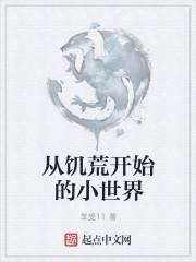 饥荒小世界地图多大