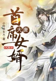 大唐第一女婿txt