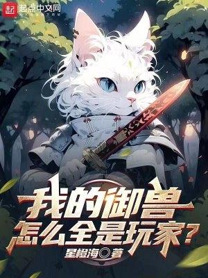 我的御兽真不是邪神全文