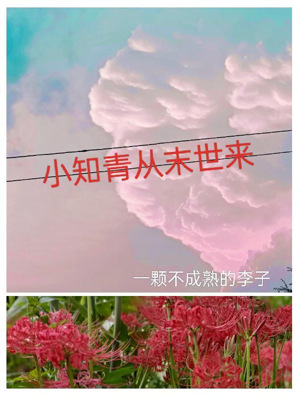 知青来自末世零辣媳妇帝少宠入怀