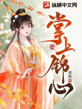 掌上锦心简介内容