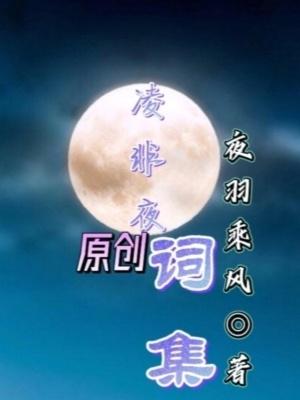 凌夜全集