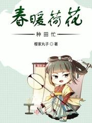 女主荷花的种田文